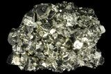 Gleaming Pyrite & Fluorite Crystal Cluster - Peru #99171-1